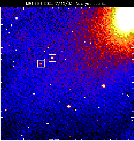[Picture of M81 W/SN]