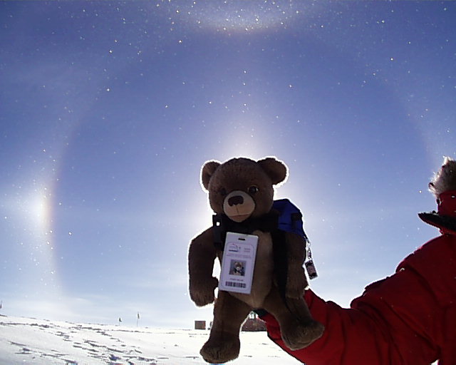John Bear