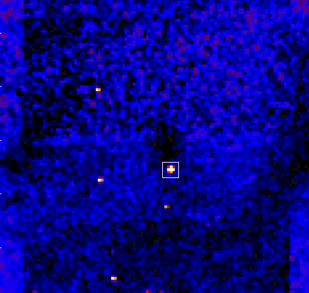 [Picture of M51 W/SN]