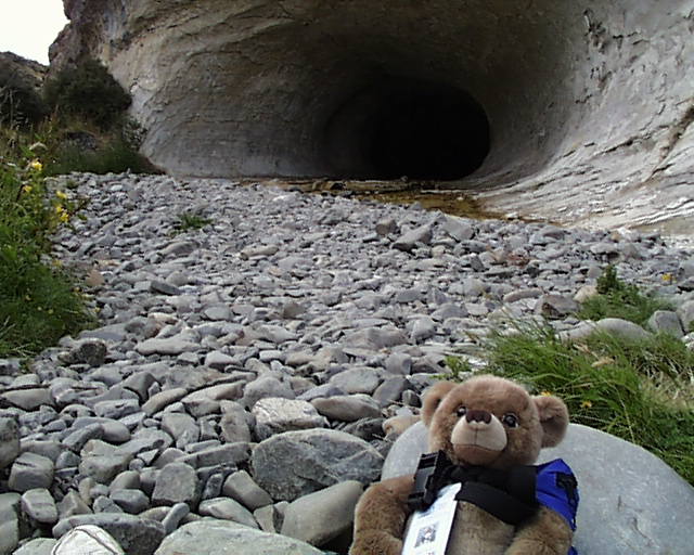 John Bear