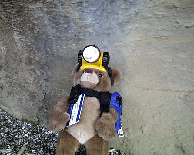 John Bear