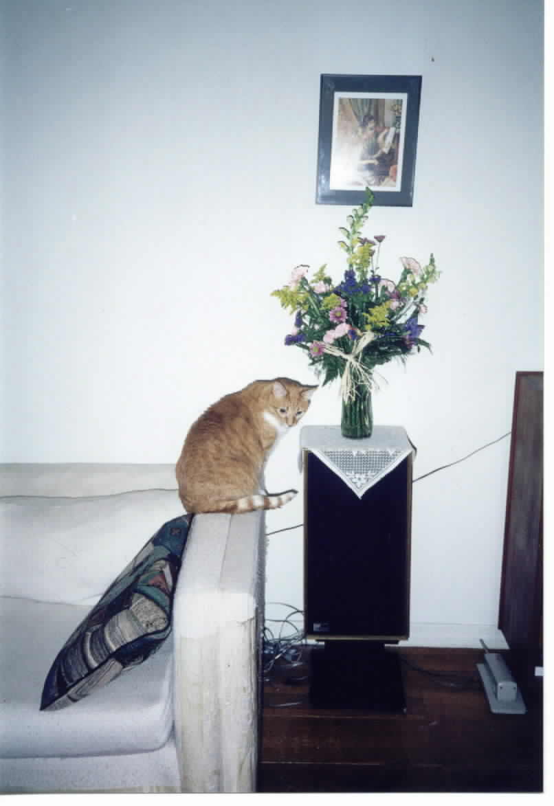 Tigger with flowers for Marina